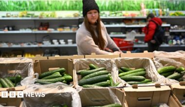 A woman with long dark hair wears a black hat while walking through a supermarket. She looks at the selection of cucumbers on offer.