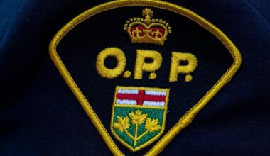 22-year-old Caledonia man dead following crash on Hwy 8 north of Peter’s Corners - The Spec