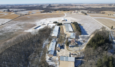Animal rights activists break into Ridglan Farms ahead of scheduled protest | News