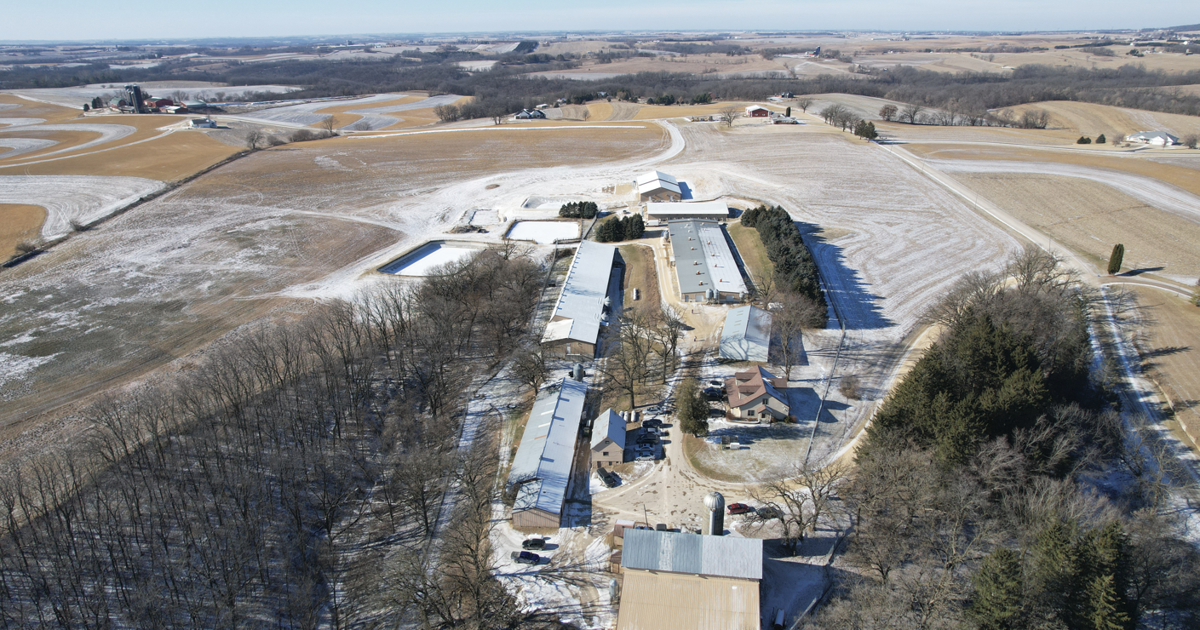 Animal rights activists break into Ridglan Farms ahead of scheduled protest | News