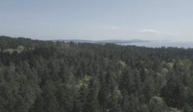 Nanaimo First Nation sends strongly worded letter to city over proposed development - BC