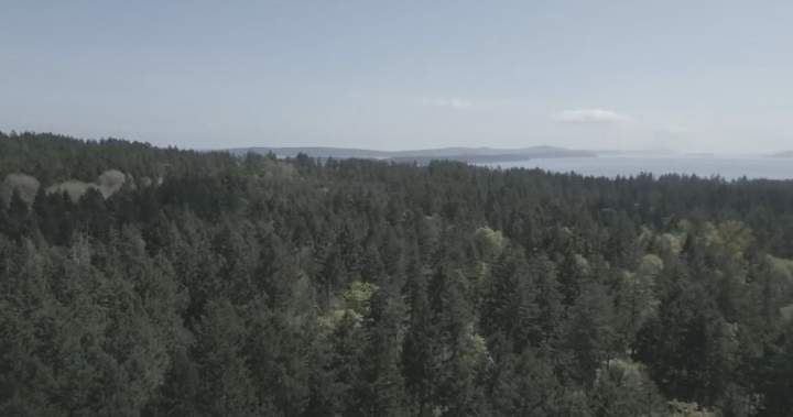 Nanaimo First Nation sends strongly worded letter to city over proposed development - BC