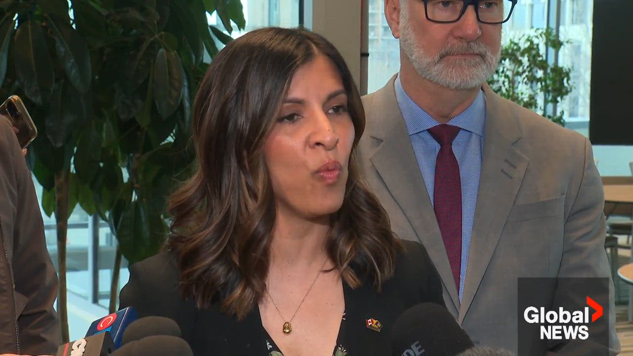 Click to play video: 'Alberta legislature committee discusses Forever Canadian petition'