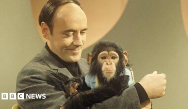 Desmond Morris and chimp. Morris is holding the chimp and looking at it.  The chimp - which looks like a very young animal - is dressed in human clothes