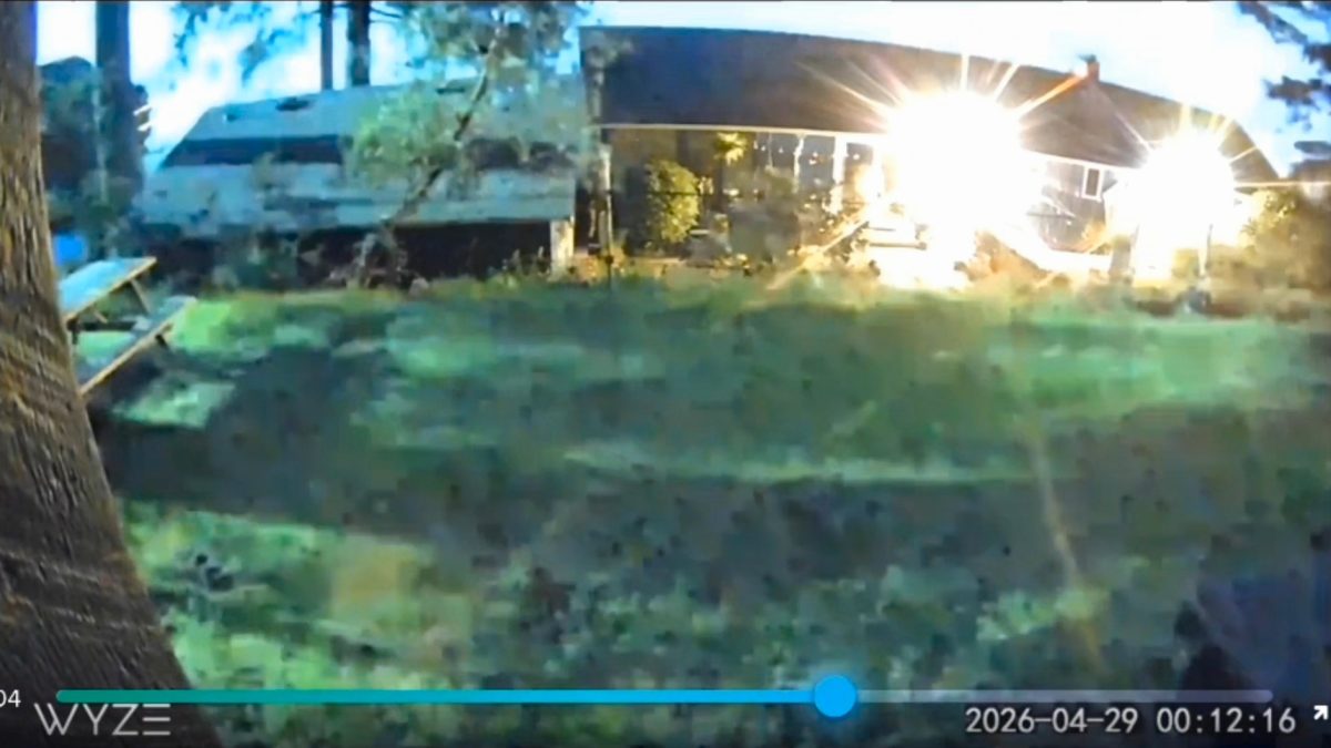 VIDEO: shooting star lights up Nanaimo sky | NanaimoNewsNOW