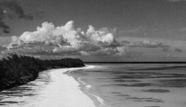 What We Know About the Disappearance of Lynette Hooker