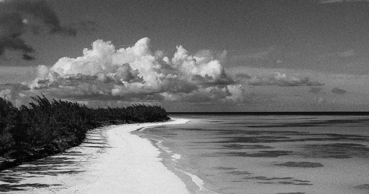 What We Know About the Disappearance of Lynette Hooker