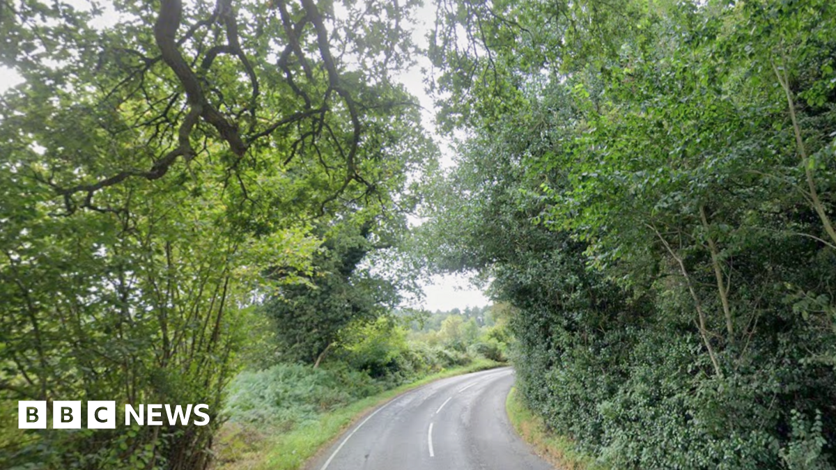 A country road with trees lining each side.