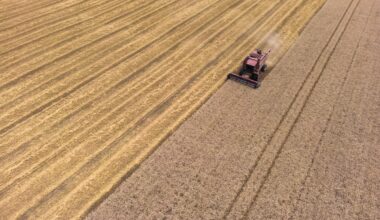 Ontario to limit foreign ownership of farmland in bid to boost food sovereignty