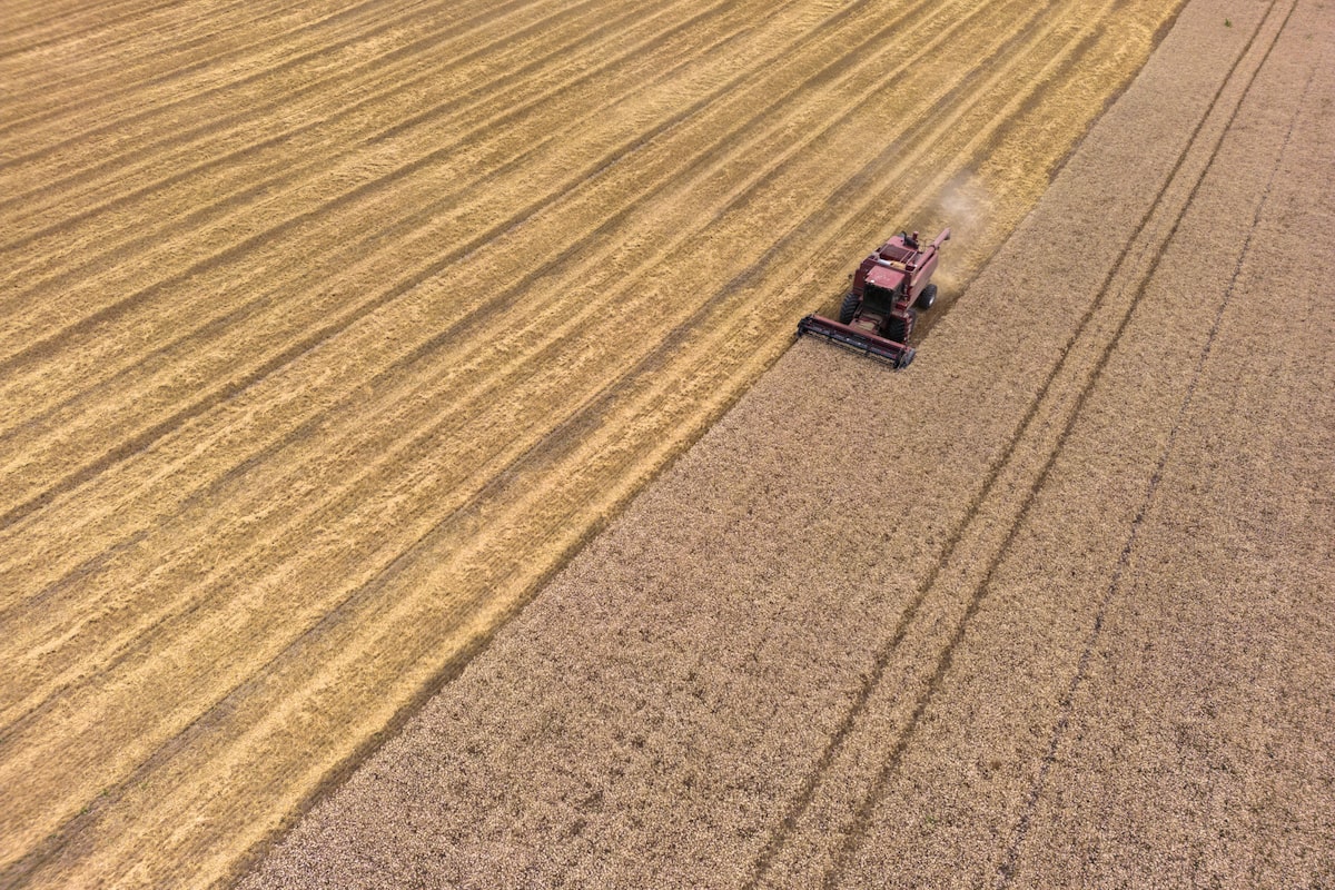 Ontario to limit foreign ownership of farmland in bid to boost food sovereignty