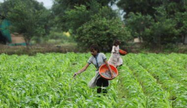 Food security expert urges Canada to invest in agriculture, not just military capabilities