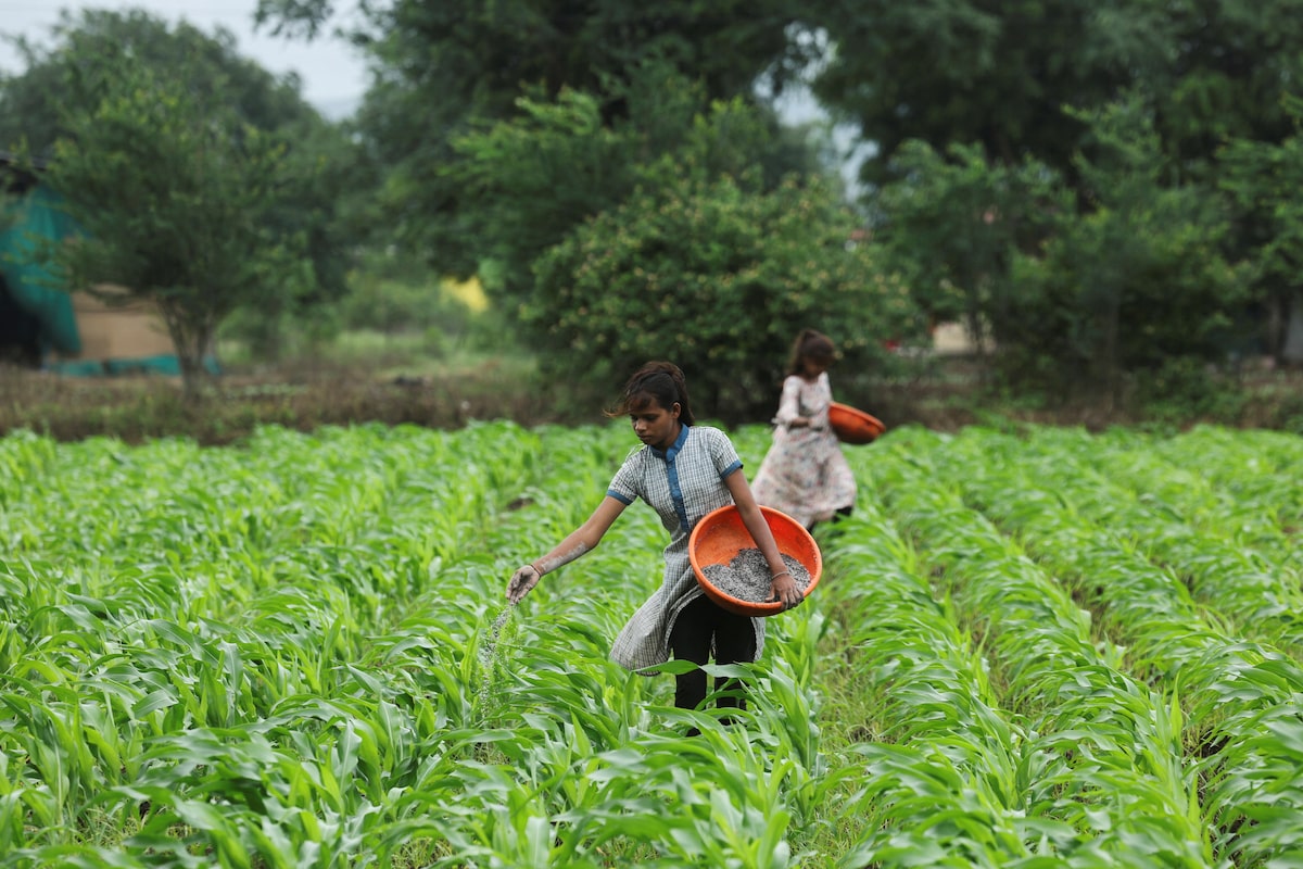 Food security expert urges Canada to invest in agriculture, not just military capabilities