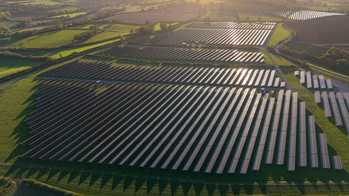 Solar power 'threatening to overwhelm electricity grid'- as households could be paid to use excess supplies of energy