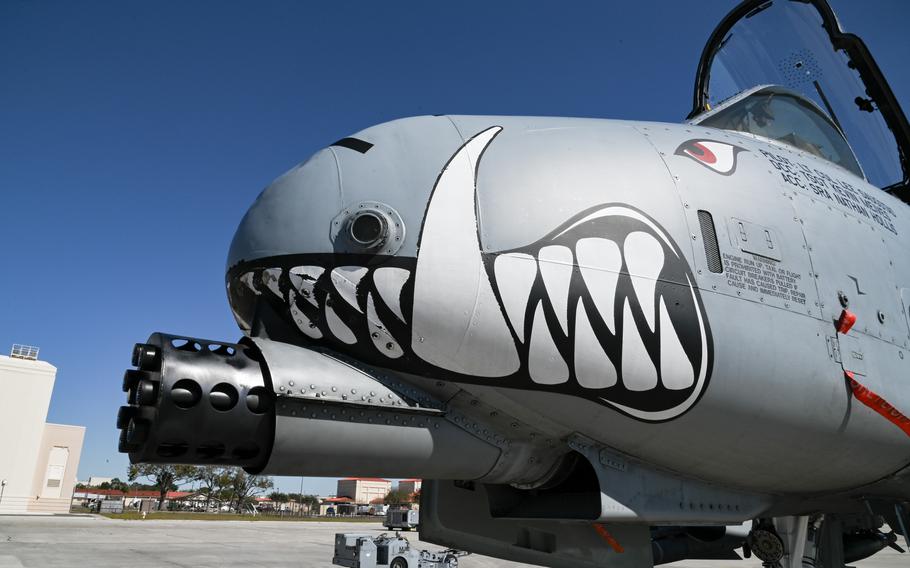 Teeth and a tusk are painted on the front the plane.