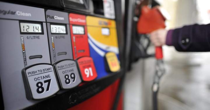 Conservatives call for federal tax cut on gas and diesel fuel - National