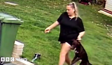 A woman can be seen dragging a black dog onto a patio area with a lawn behind. There is a green wheelie bin on the left hand side of the image. The woman is wearing a black top and has blonde hair.