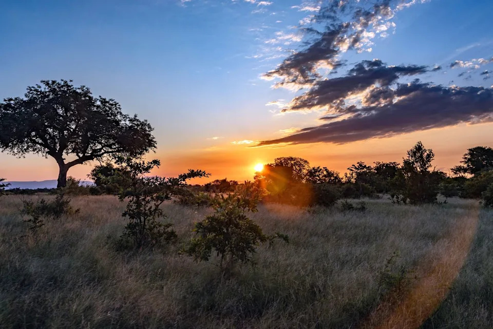 Klaserie Private Nature Reserve in South Africa, pictured in 2023Credit: Shutterstock