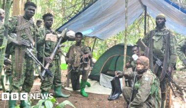 Uganda's army UPDF says more than 200 civilians rescued from ADF in DR Congo - BBC