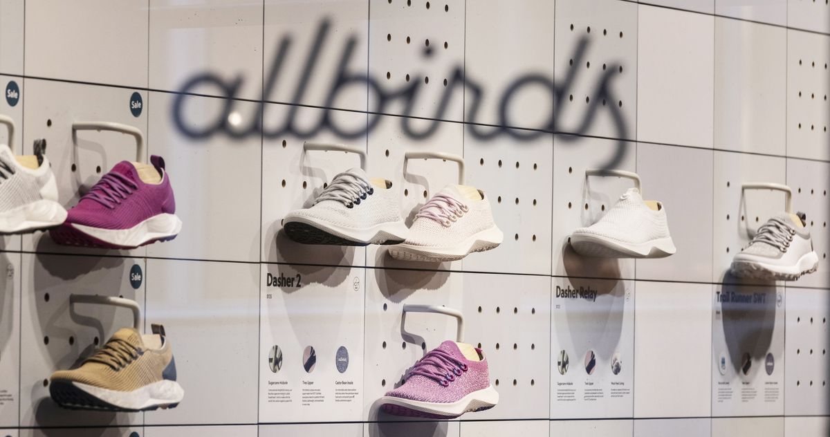 Of Course Allbirds Is an AI Company Now