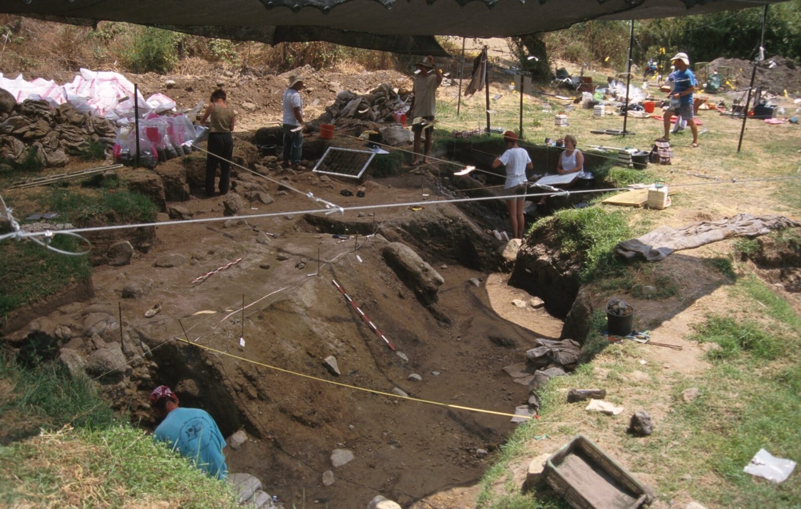 Rare ancient charcoal shows how prehistoric 'Israelis' were already grilling 780,000 years ago