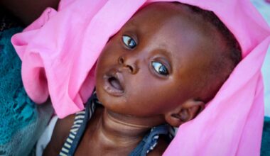 Nearly eight million people in South Sudan at risk of acute hunger: NGOs | Conflict News