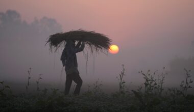 As Iran crisis drags on, fears of global food crisis grow | US-Israel war on Iran News