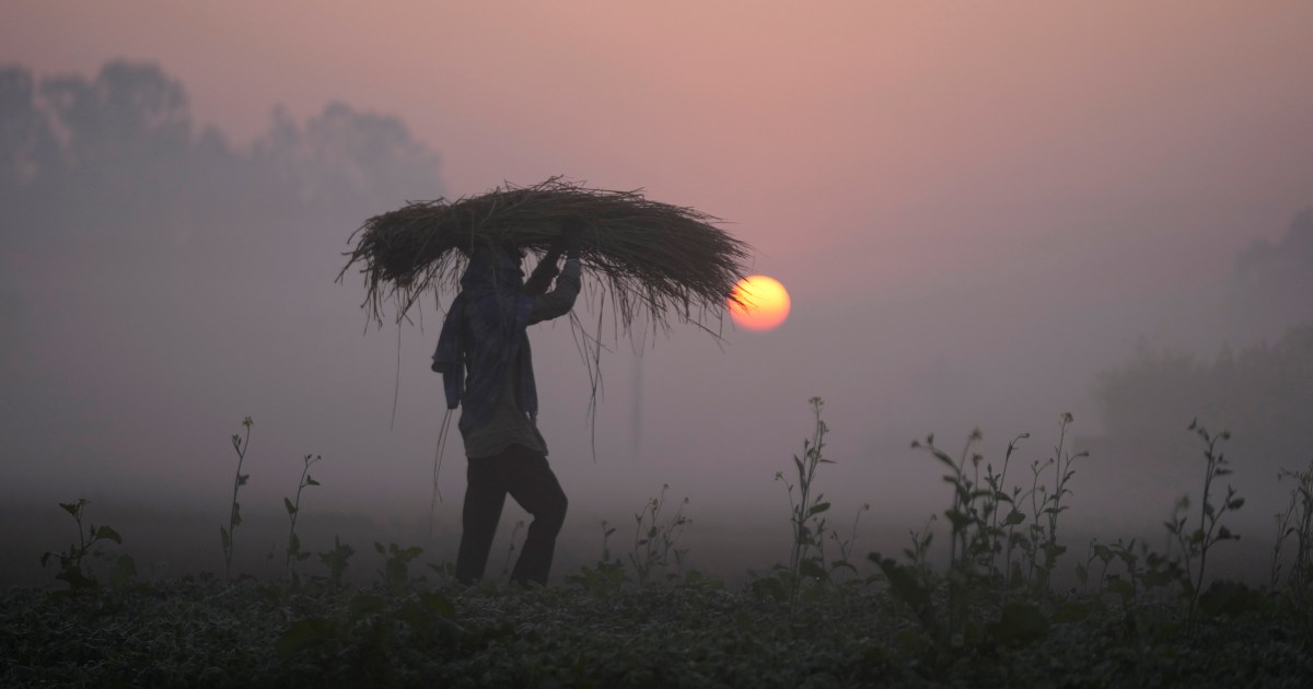 As Iran crisis drags on, fears of global food crisis grow | US-Israel war on Iran News