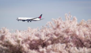 Airline tickets are about to get more expensive and here’s why - CTV News