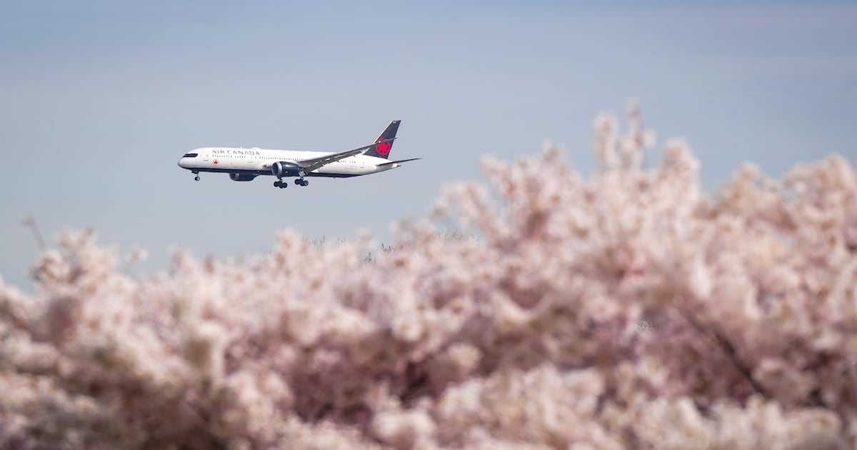Airline tickets are about to get more expensive and here’s why - CTV News