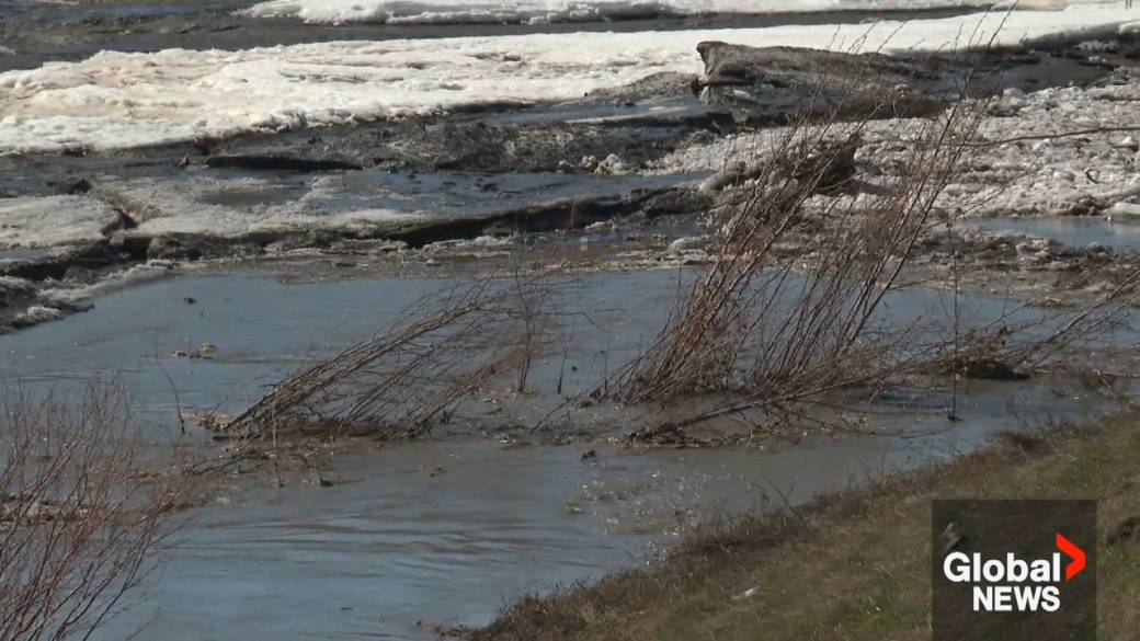 Click to play video: 'Peace River, Alta. drops evacuation alert, still watching for flooding'