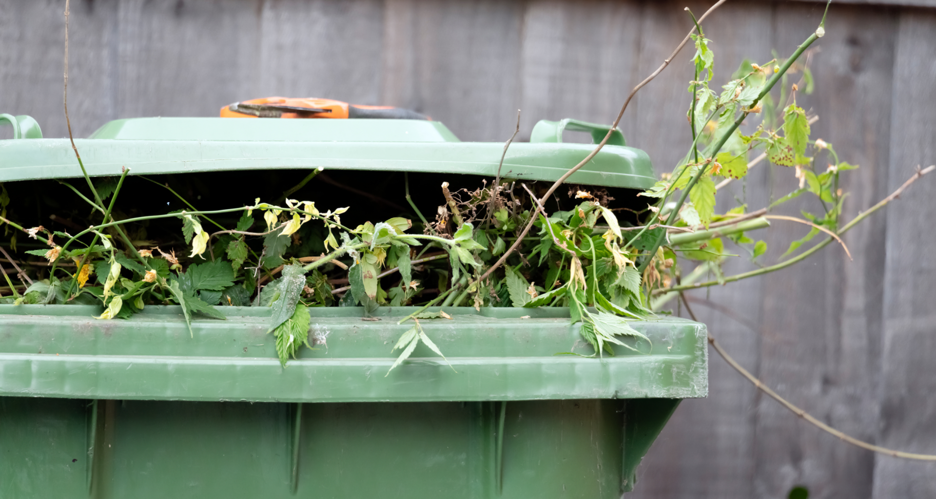 What you can't put in your garden waste bin under the new recycling rules