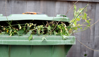 What you can't put in your garden waste bin under the new recycling rules