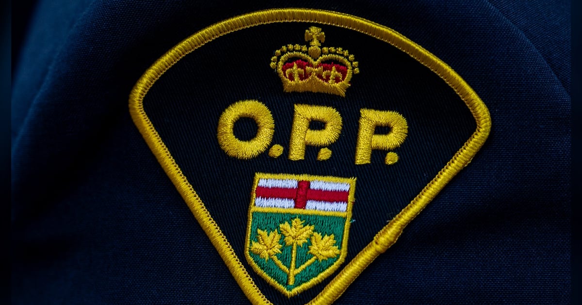 Windsor police officer charged in OPP investigation - CTV News