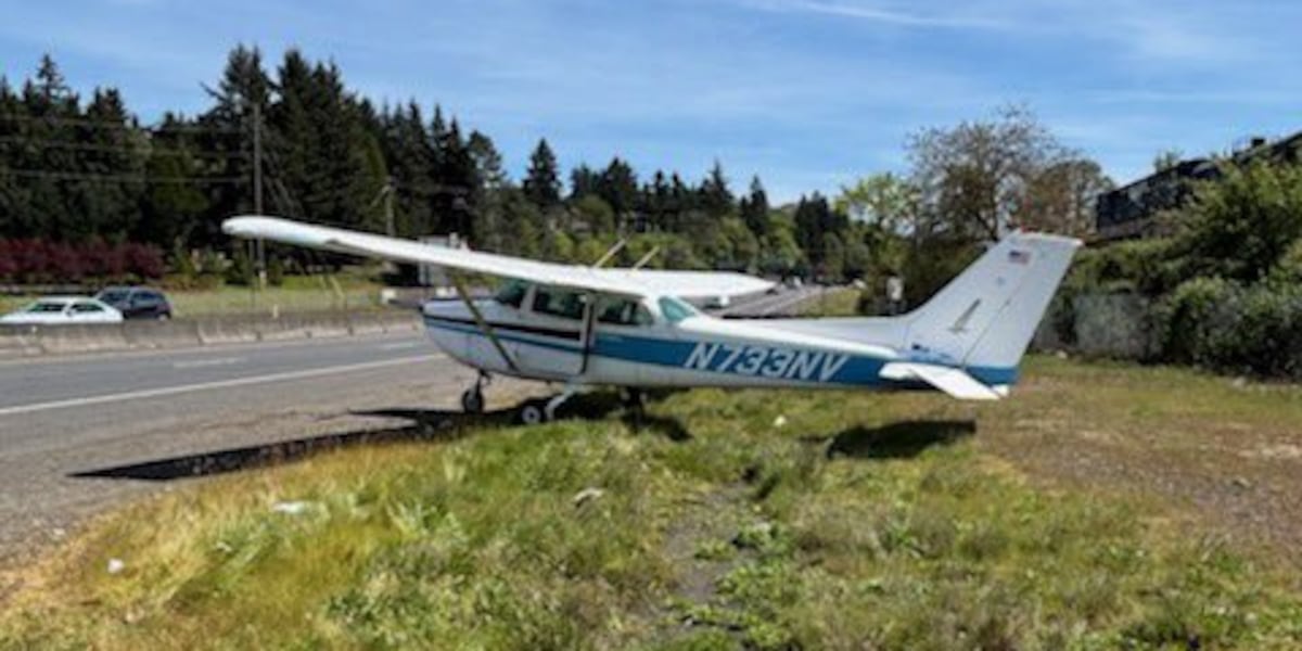 Small plane makes emergency landing on Hwy 14 in Vancouver