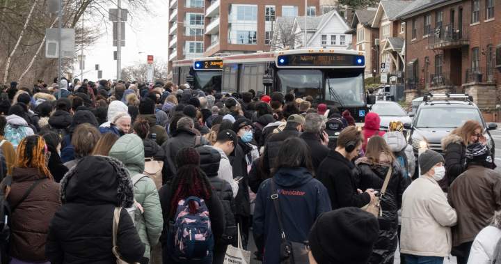 Toronto transit head apologizes after subway spill sparks commuter chaos - Toronto