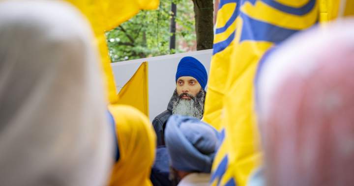 Foreign states continue to harass and intimidate Canadians, RCMP says - National
