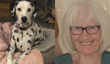 Search underway for Alberta woman, 82, lost in Saskatchewan with her dog