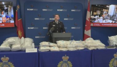 Nearly 400K doses of fentanyl, analogues seized during bust in B.C.’s Fraser Valley, police say - CTV News