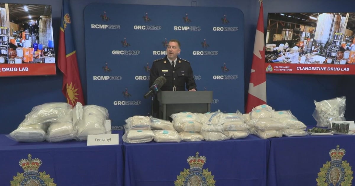 Nearly 400K doses of fentanyl, analogues seized during bust in B.C.’s Fraser Valley, police say - CTV News