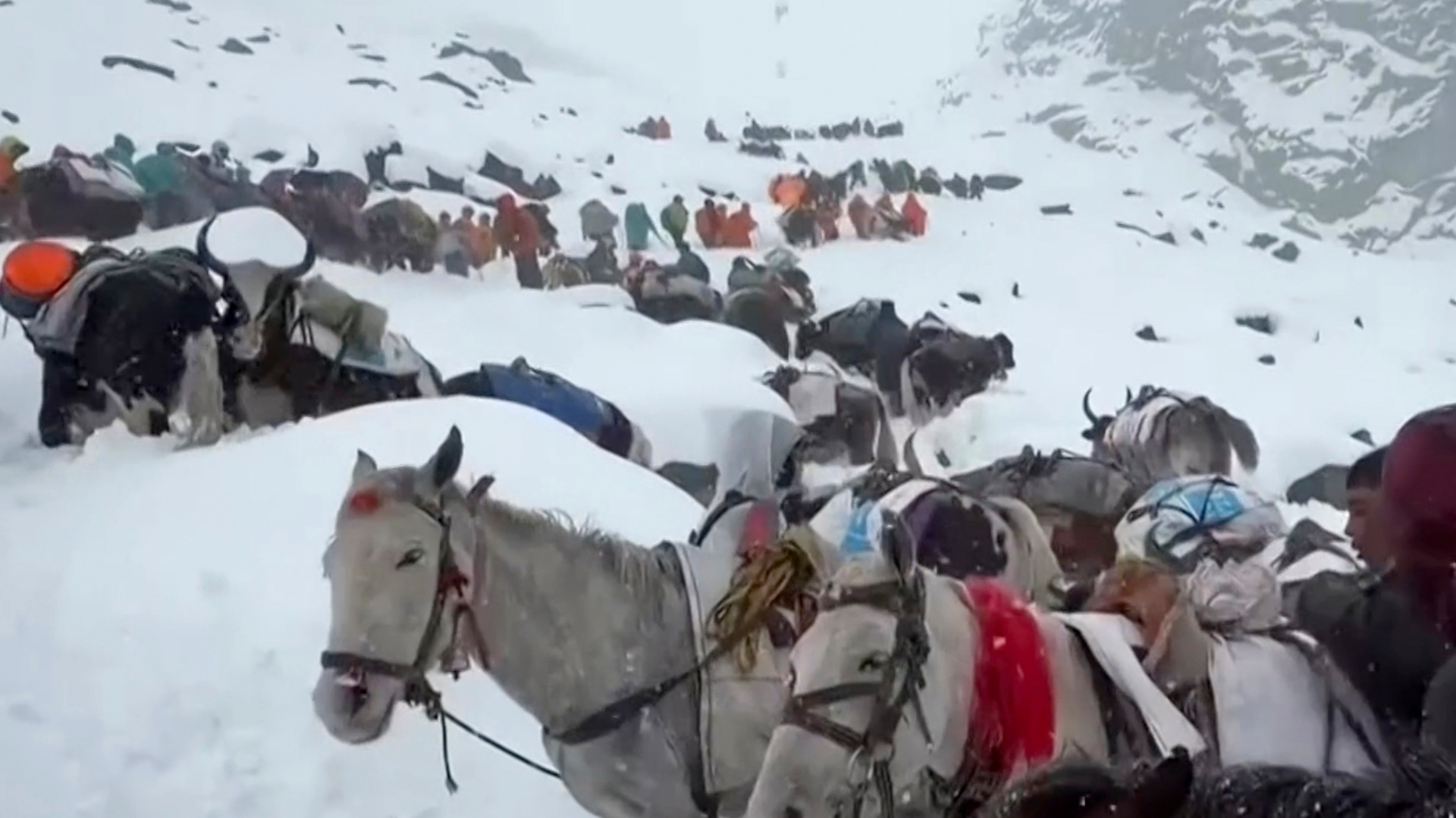 Click to play video: 'Blizzard strands 200 tourists on Mount Everest'