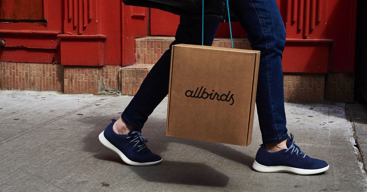 Allbirds Is Pivoting to AI Compute. Sure, Why Not