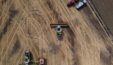 Egypt won’t accept Ukrainian wheat exported by Russia, Zelenskyy says – POLITICO