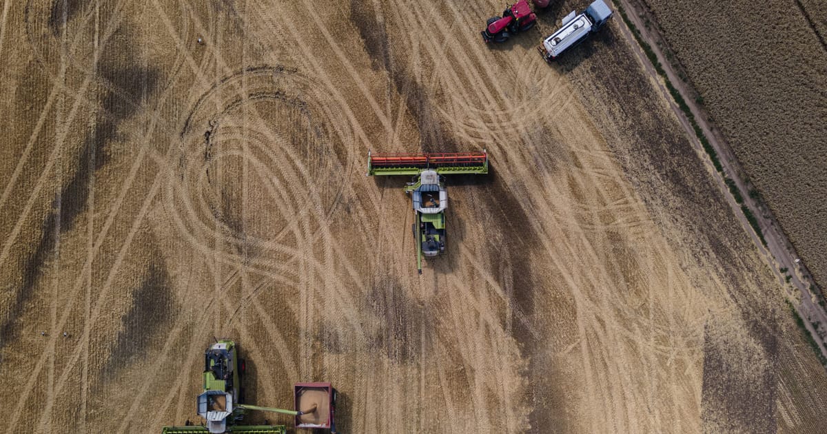 Egypt won’t accept Ukrainian wheat exported by Russia, Zelenskyy says – POLITICO