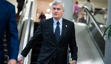 The Republican Senate primary in Louisiana has become a mess. Let's get into it.