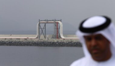 'Take the money and run': Johns Hopkins economist Steve Hanke on why the UAE quit OPEC