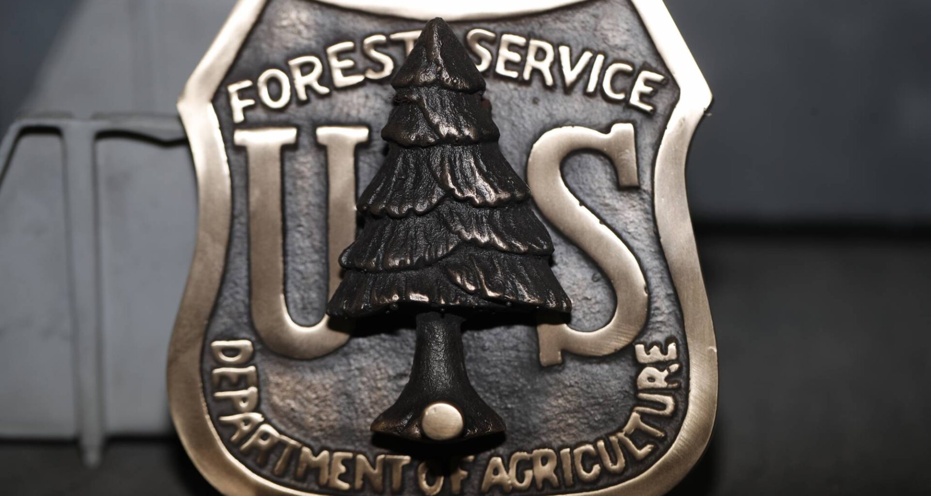 Forest Service will move headquarters to Salt Lake City, as part of ‘sweeping’ reorganization