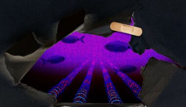 Iran Signals a New Threat to the Gulf’s Internet