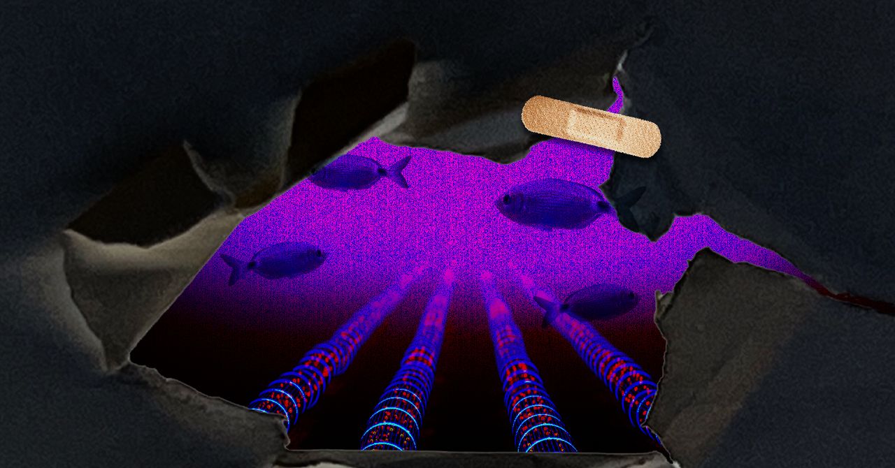 Iran Signals a New Threat to the Gulf’s Internet