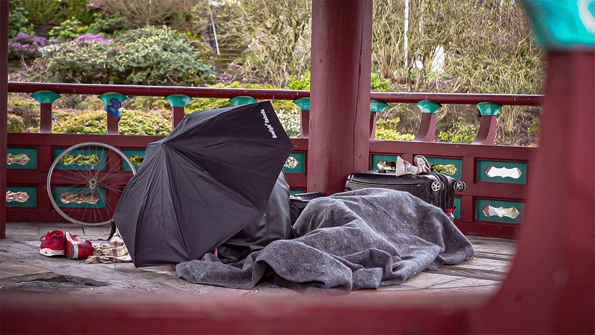 Homeless-setup-in-Daejeon-Park