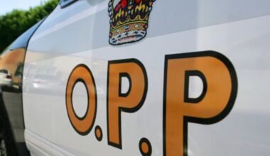 Ottawa man dies after boat capsizes on the St. Lawrence River - CTV News